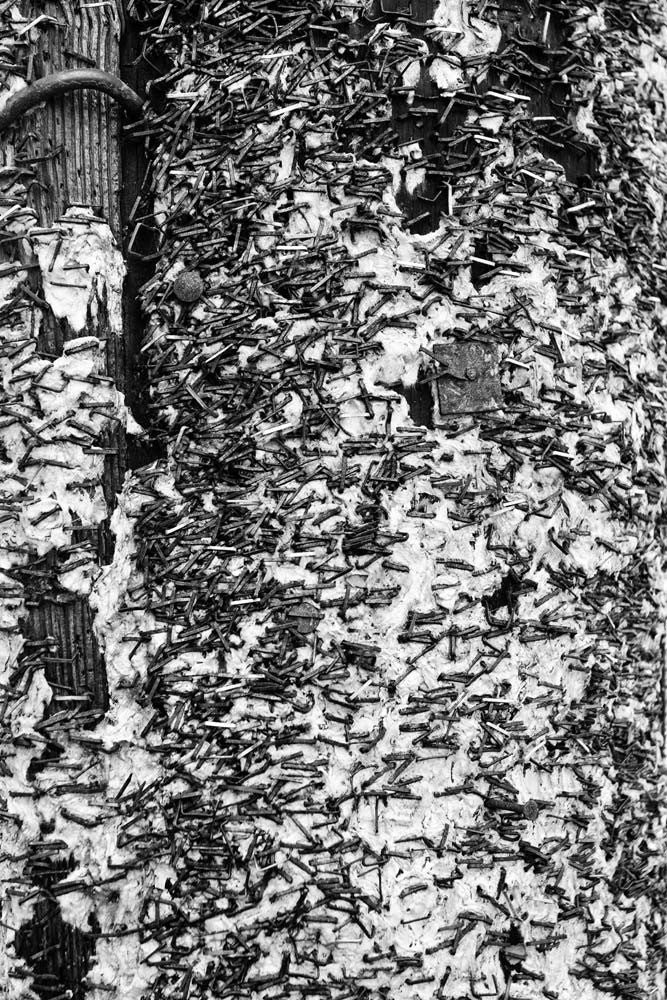 Black and white abstract photograph of a telephone pole covered in staples and fragments of old club posters on Frenchman Street in New Orleans.