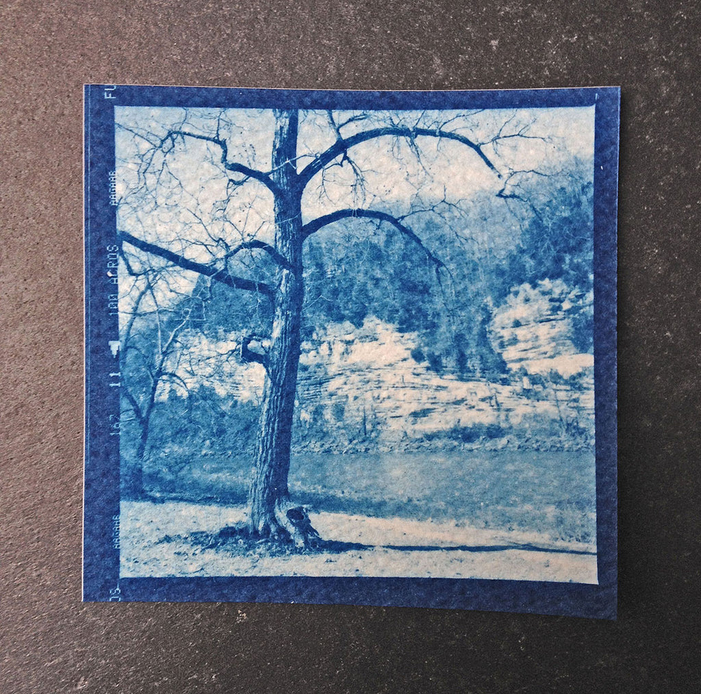 This is a unique one-of-a-kind handmade cyanotype print of a beautiful big tree standing by a riverbed, with cliff faces in the background. This was contact printed from a 2-1/4 inch black and white film negative on textured ivory watercolor paper, handmade and printed by the artist.