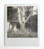 Hollow Rock Collection – Original Polaroid Photographs