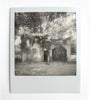 Hollow Rock Collection – Original Polaroid Photographs