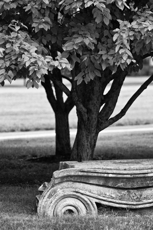 Black and white photograph of an antique Ionic column fragment laying in the grass in Nashville. Originally part of the Tennessee State Capitol building, these columns were removed during a renovation and have been scattered around Nashville as a reminder of its reputation as "the Athens of the South."