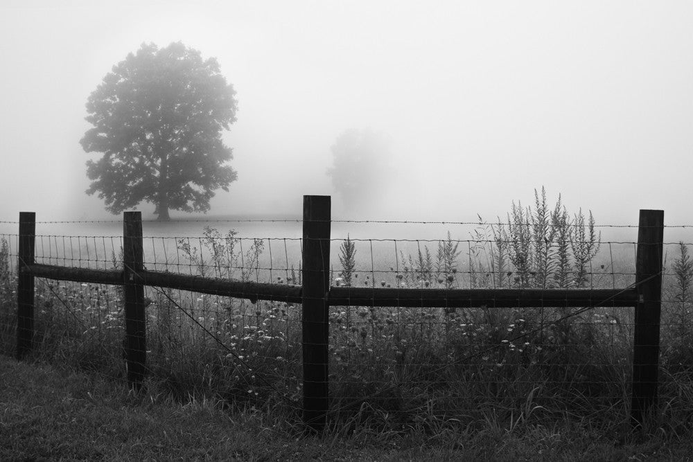 Black and white landscape photograph of a rural fenceline and trees fading into a dense morning fog.