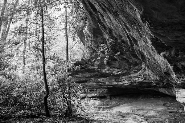 Black and white landscape photograph of the Indian Rockhouse on the Cumberland Plateau of East Tennessee. This large natural rock shelter was used by Native Americans up to 15,000 years ago.