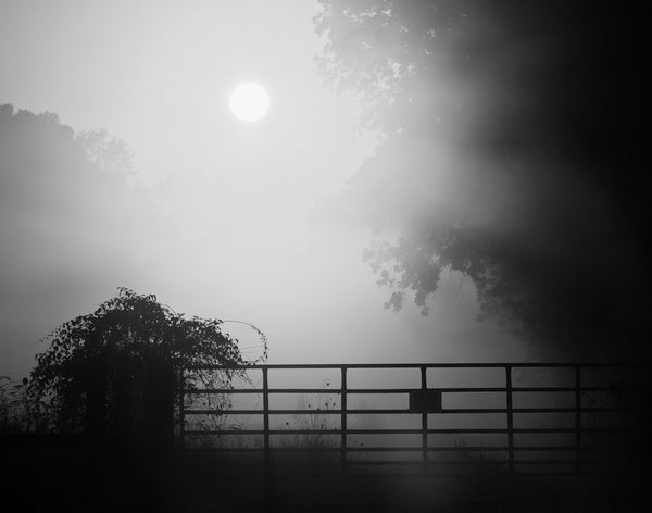 Black and white landscape photograph of the sun rising through the dense morning fog.