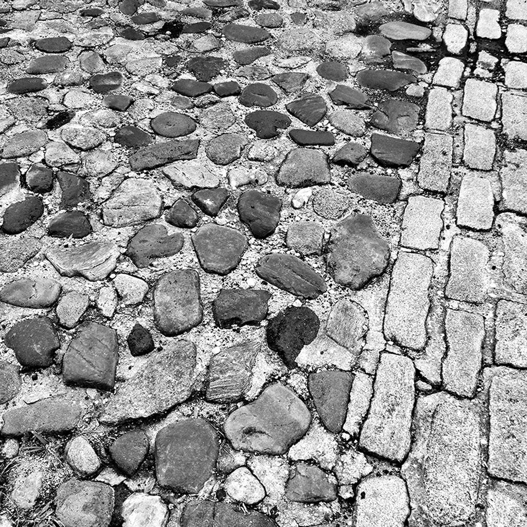 Charleston Cobblestone Street Black and White Photograph (Square Format) (IMG_7931)
