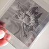 Dead Flower - Real Cyanotype Print