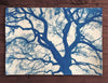 This is a unique one-of-a-kind handmade cyanotype print of the spread branches of a beautiful big tree, printed on textured ivory watercolor paper, handmade and printed by the artist.