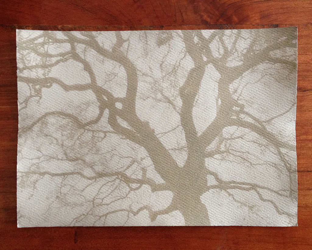 This is a unique one-of-a-kind handmade tea-toned cyanotype print of the spread branches of a beautiful big tree, printed on textured ivory watercolor paper, handmade and printed by the artist. 
