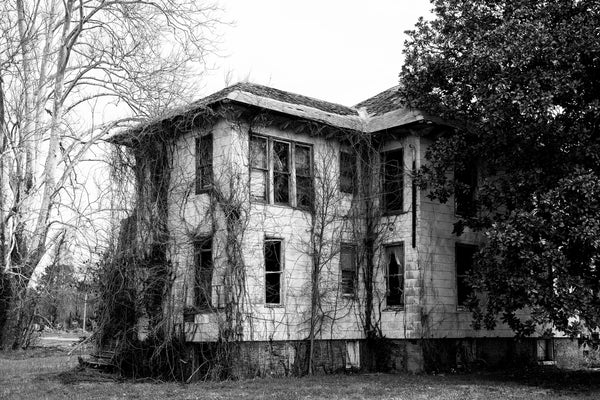 Black and white photograph of a huge abandoned house wrapped in vines, found in a small town in Southern Illinois.