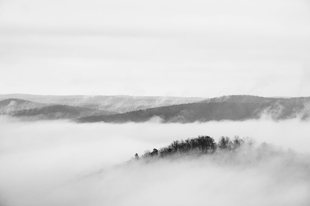 Treetops Above the Fog: Black and White Landscape Photograph (KD000497)