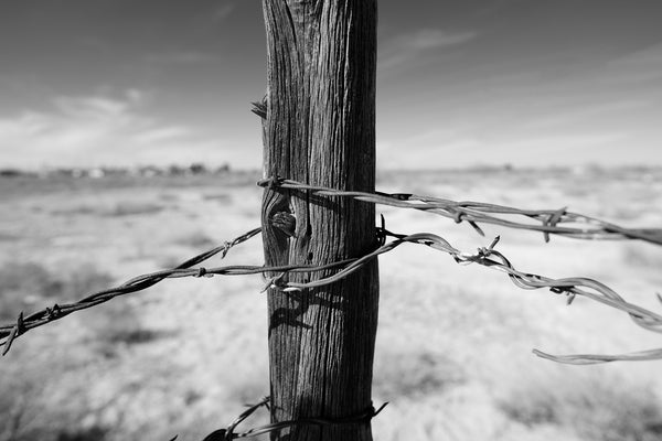 Black and white close-up photograph of a weathered fencepost in the desert wrapped with twisted strands of rusty barbed wire.