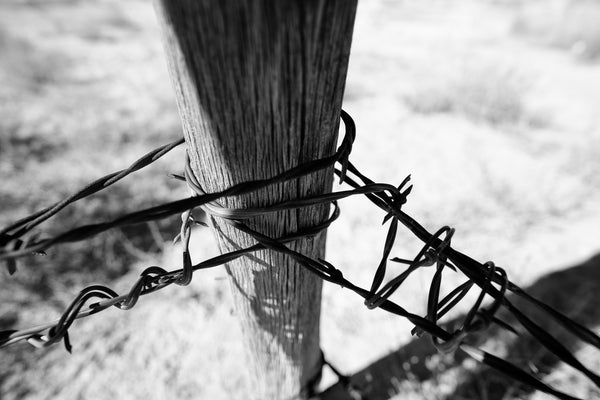 Black and white photograph of an old weathered wooden fencepost in the desert, wrapped with rusty barbed wire.