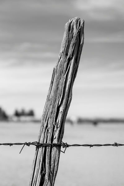 Black and white landscape photograph featuring a weathered old fence post with rusty barbed wire
