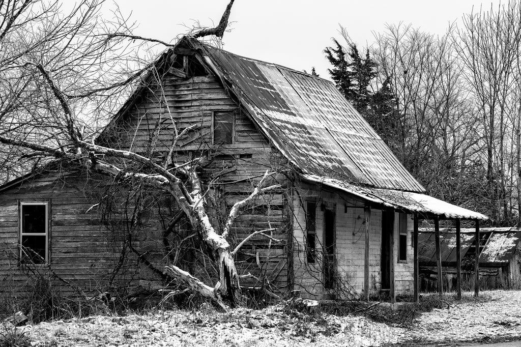 Black and white photograph of an abandoned old farm house with a fallen tree in the first snow of winter.