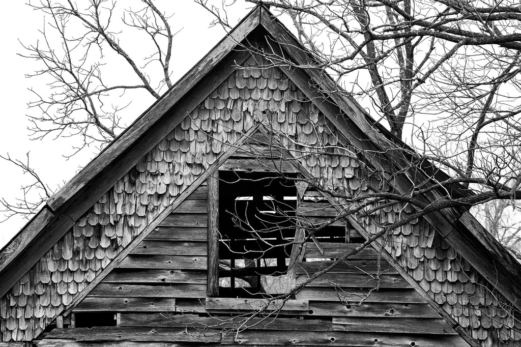 Black and white photograph of an old wooden gable with branches of a barren winter tree.