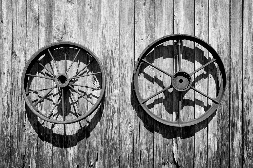 Black and white photograph of two rusty old wheels from farm machines fastened to a rustic wooden wall.