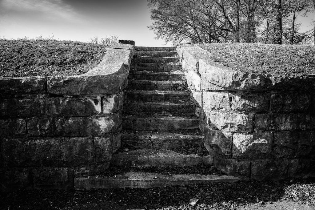 Evocative black and white photograph of stone steps inset into a front yard where the house no longer stands.