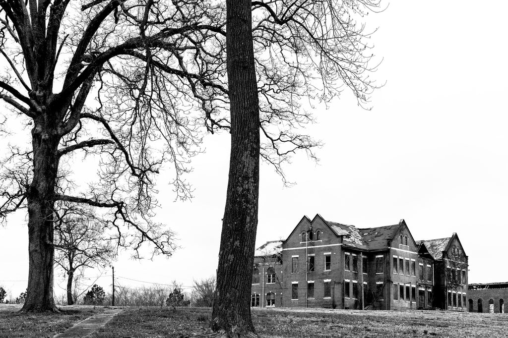 Black and white photograph of beautiful, barren winter trees on the campus of a former college which is now just abandoned and decaying buildings.