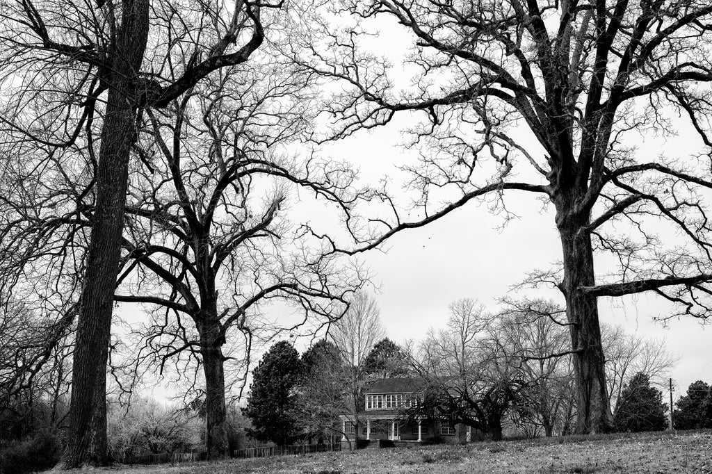 Black and white photograph of a big house with three tall barren black trees in winter.