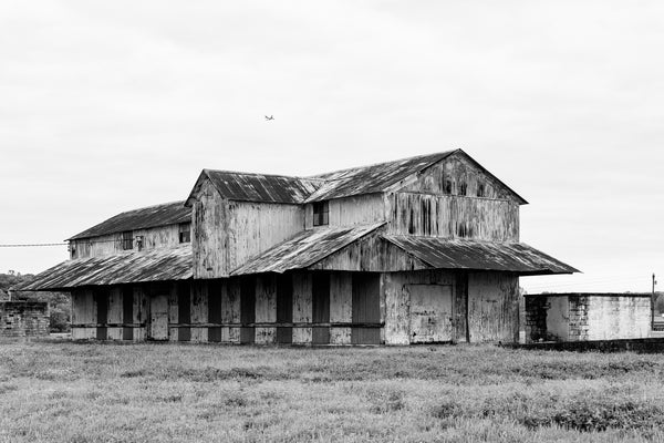 Black and white photograph of a distinctive old cotton gin building with an airplane flying overhead, seen in the heart of the Mississippi Delta.