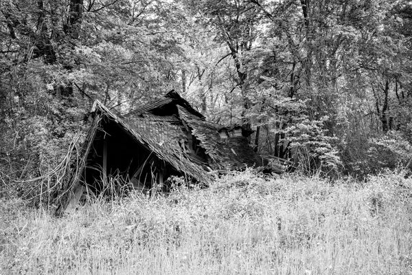 Black and white photograph of a partially collapsed house that once had a post office in the front and living quarters for the postmaster in the back. This is one of a small collection of abandoned ruins in the small Mississippi Delta community of Hushpuckena.