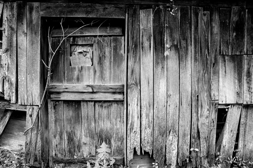 Black and white photograph of weathered wooden planks on the exterior of an abandoned old house.