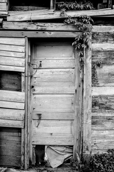 Black and white photograph of a wooden door set into the ramshackle exterior of a rustic old wooden cabin that may have been a sharecropper house a long time ago.
