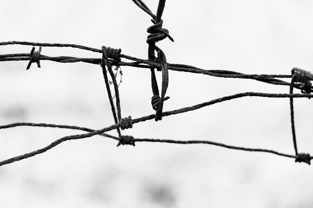 Black and white photograph abstract composition of lines in a tangled and rusty old barbed wire fence.