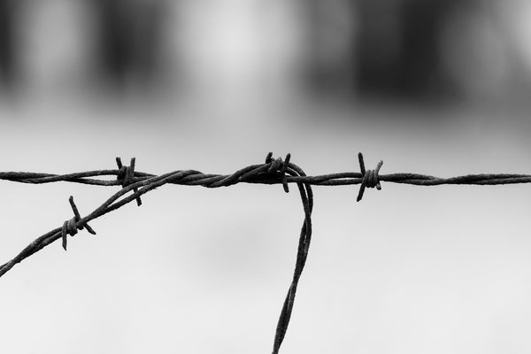 Black and white close-up photograph of a rusty barbed wire fence with the distant landscape out of focus.