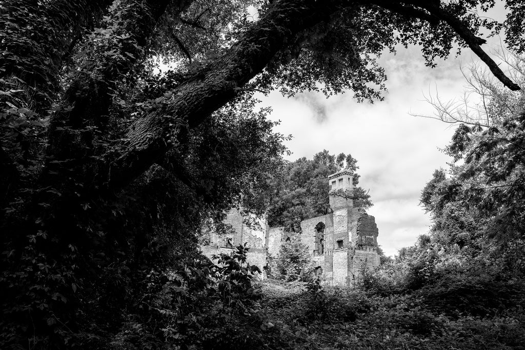 Black and white photograph of the old ruins of a big mansion seen among the encroaching trees and vines.