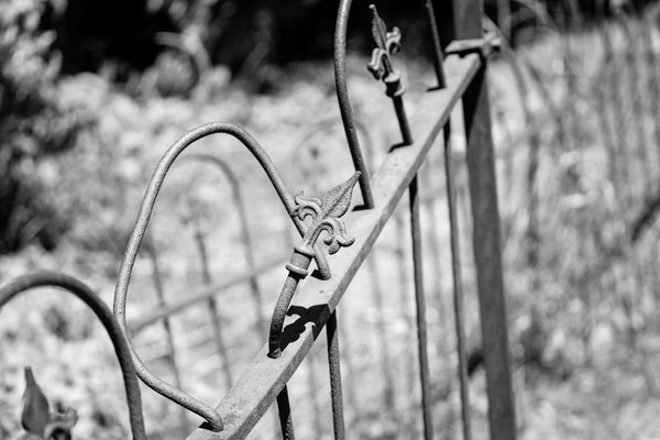 Black and white photograph of a rusty old Victorian-era iron fence that has been bent and twisted over the years