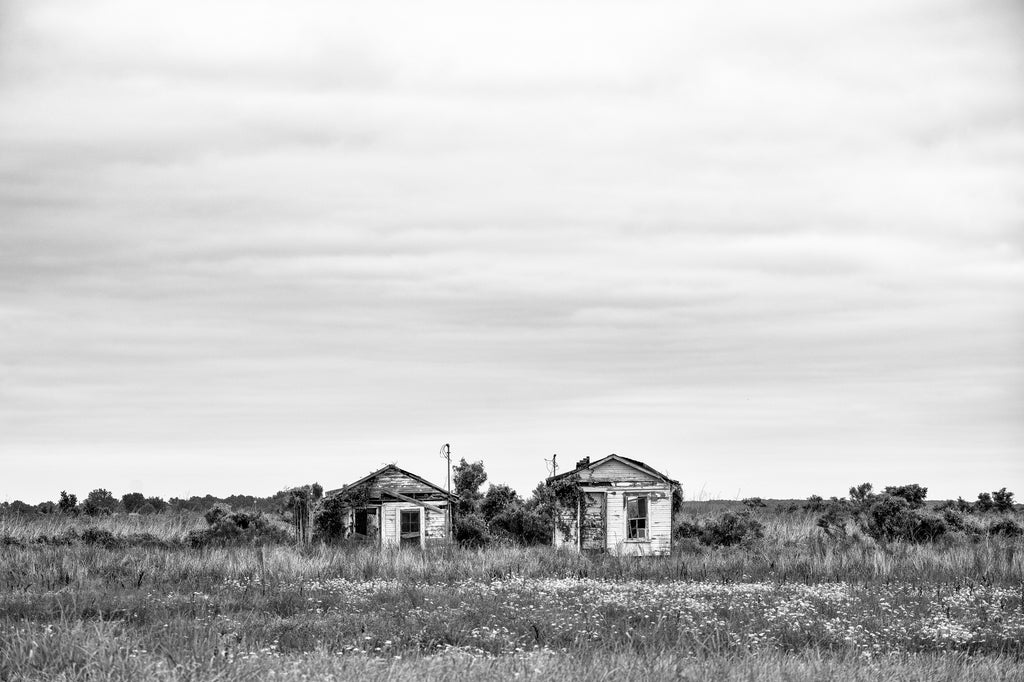 Black and white photograph of two abandoned old shotgun shacks in the flat and fertile landscape of the Mississippi Delta.