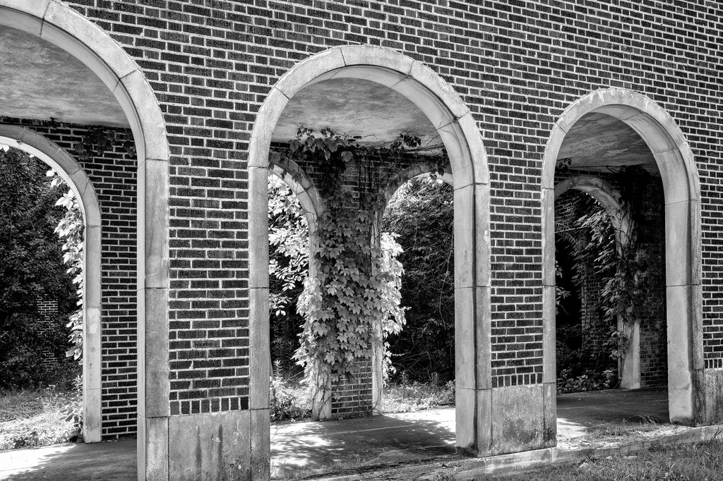 Black and white photograph of arches with ivy on the grounds of an abandoned high school in Clarksdale, Mississippi built in 1930 and closed in 1999.