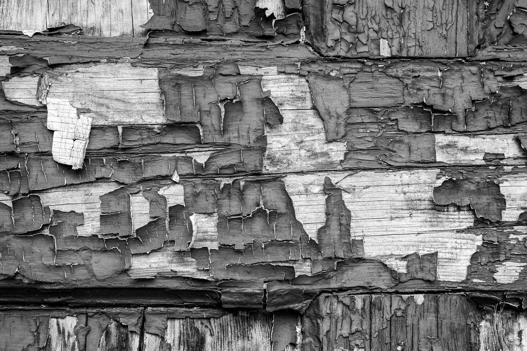 Black and white photograph of the textures of an old, weathered, wooden door with thick layers of cracked paint peeling off