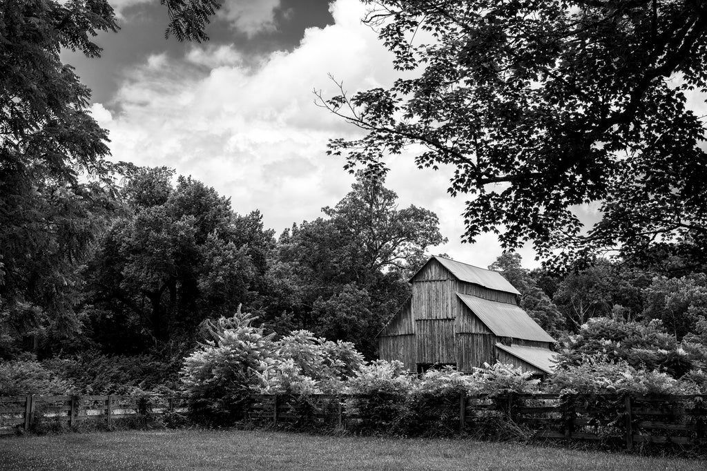 Black and white photograph of a big, red barn set in a verdant summer landscape.