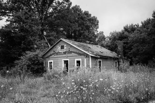 Black and white photograph of an abandoned little old farmhouse surrounded by wildflowers.