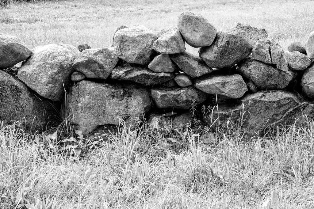 Black and white photograph of a beautiful old dry-built stone wall in the New England countryside.
