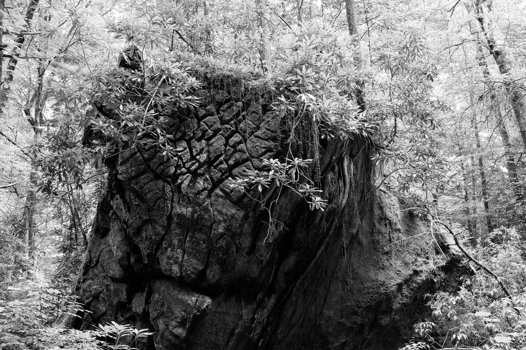 Black and white photograph of a giant rock outcropping with hatch mark patterns found deep in the forest.