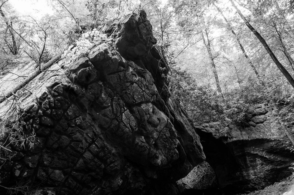 Black and white photograph of a huge, dramatic rock formation found deep in the forest.