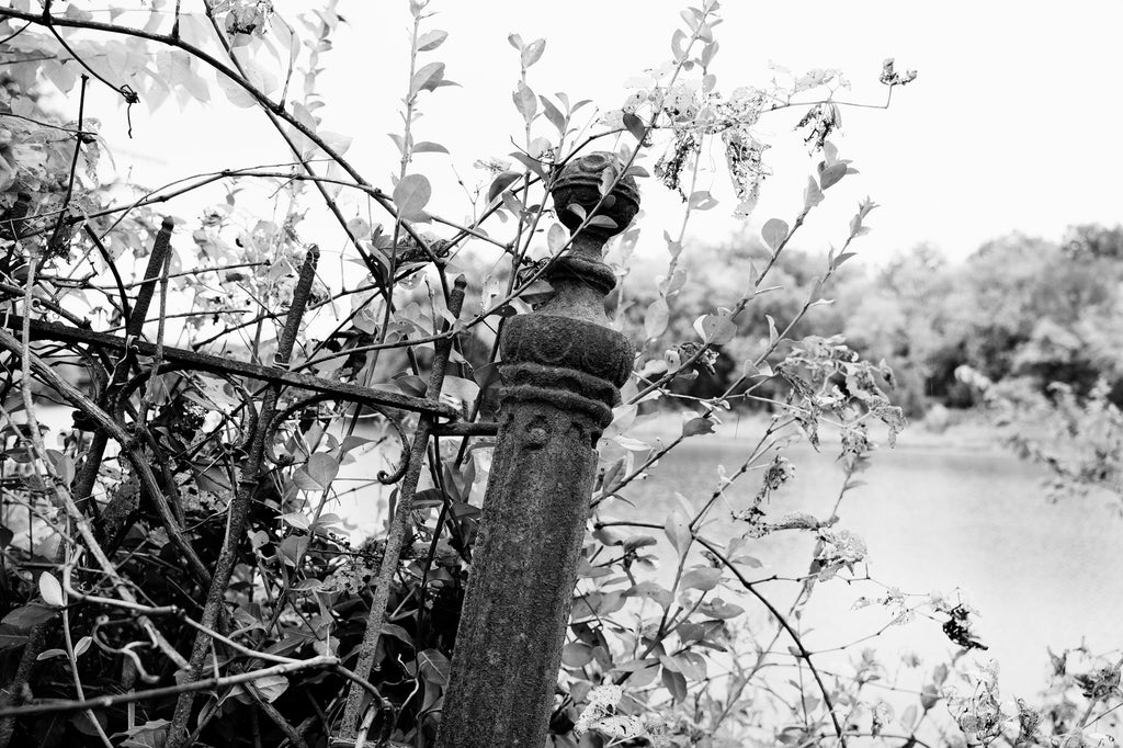 Rusty Antique Iron Fence with a View of the Ohio River: Black and White Photograph (KD006760X)