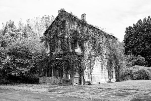 Black and white photograph of an old abandoned house draped in dangling vines, found in a mostly vacant neighborhood in Cairo, Illinois.