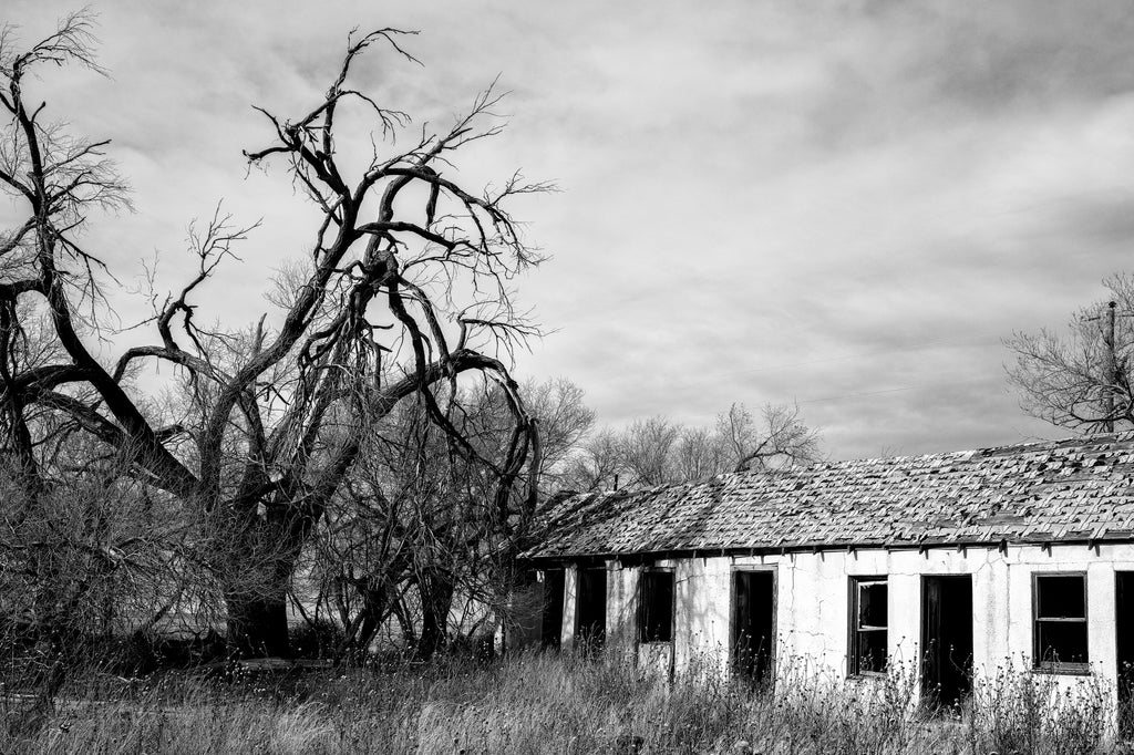 Black and white photograph of an abandoned and ruined motel on old Route 66 with a big gnarly tree in the yard.