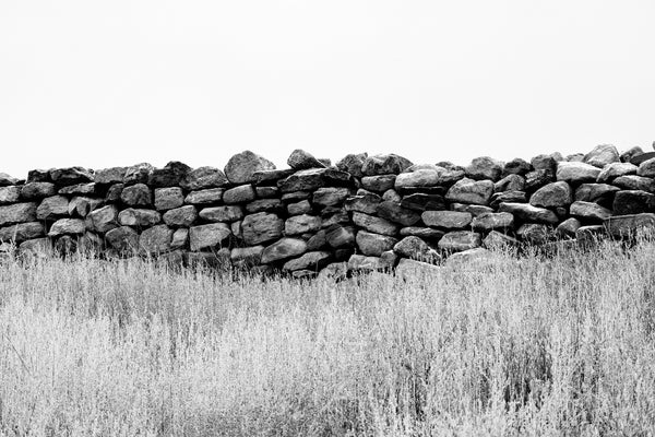 Black and white photograph of an old stone wall running through tall grass in the northern New Mexico landscape. 