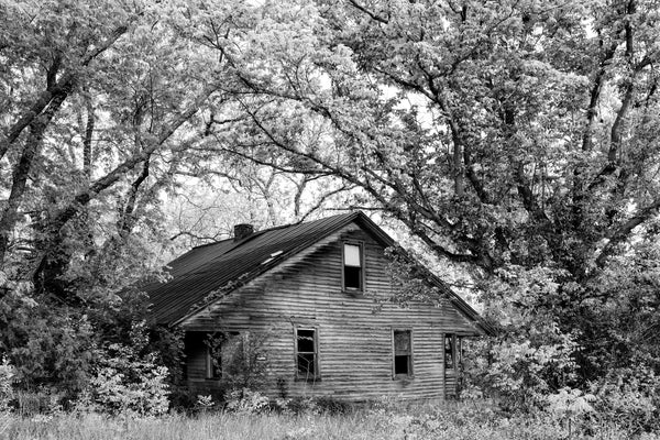 Black and white photograph of an old wooden farmhouse sitting amongst a grove or overarching trees.