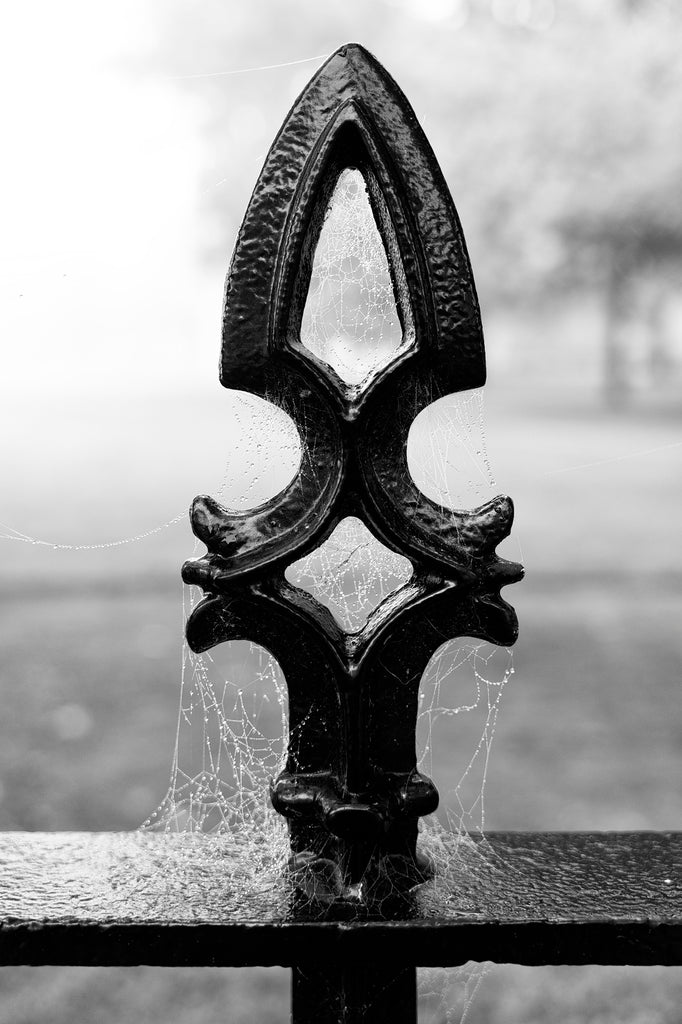 Black and white photograph of a historic antique fence picket draped with cobwebs and dewdrops on a foggy morning.