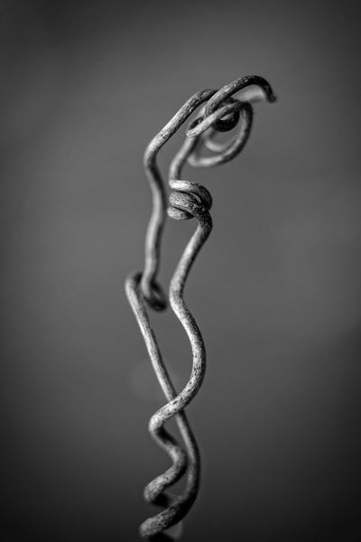Black and white fine art macro photograph of a tiny twisted and knotted vine shot to resemble a large natural sculpture.