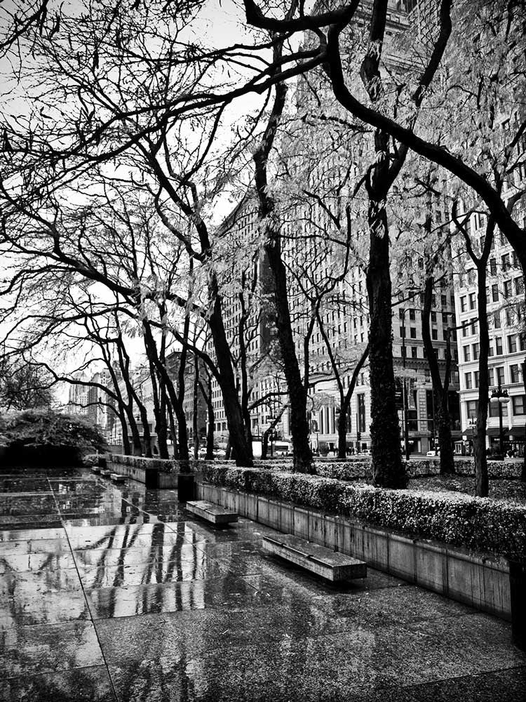 Black and white photograph of rain-soaked benches and trees on the plaza at the Art Institute of Chicago, along Michigan Avenue.