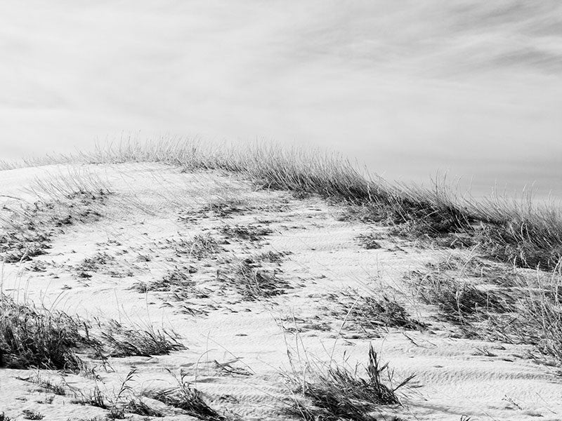 Black and white landscape photograph of South Dakota's Buffalo Grassland with a light dusting of snow.