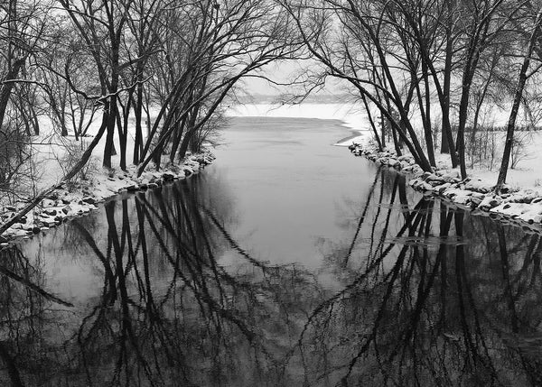 Black and white winter landscape photograph of barren trees arching over the Yahara River where it flows into Lake Monona in Madison, Wisconsin. The trees' reflection in the black river creates a beautiful round focal point in the center.