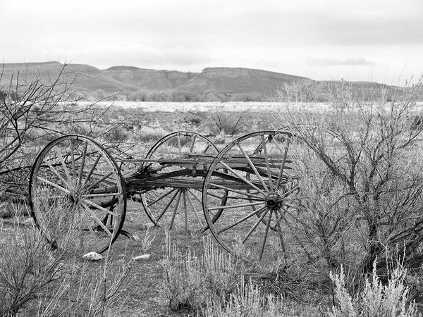 Black and white photograph of a weathered old wagon, abandoned in the beautiful Wyoming landscape, with the foothills of the Rocky Mountains in the background.
